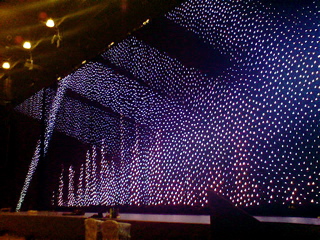 lisa-leds1.JPG