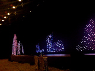 lisa-leds3.JPG