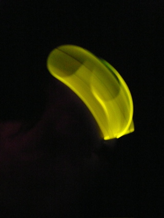 p1010006.jpg