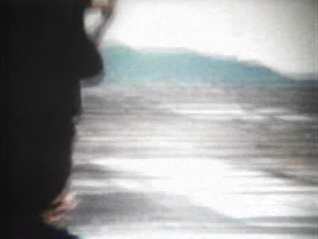 fuji-9.png