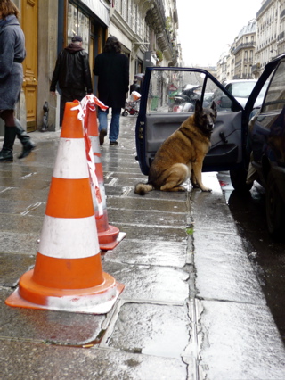 p1010816.JPG