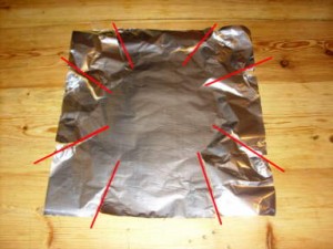 foil_horse_2