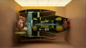 picture-7